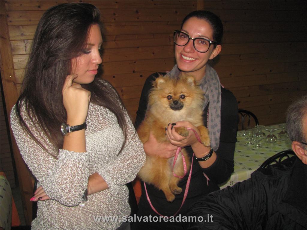 strippedcaption